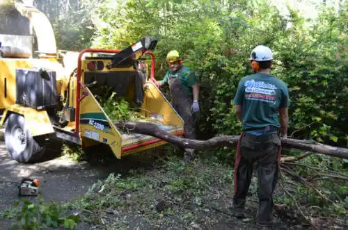 tree services West Baden Springs